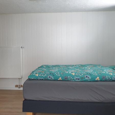 Apartament Studio In Sempachersee Hildisrieden Zewnętrze zdjęcie